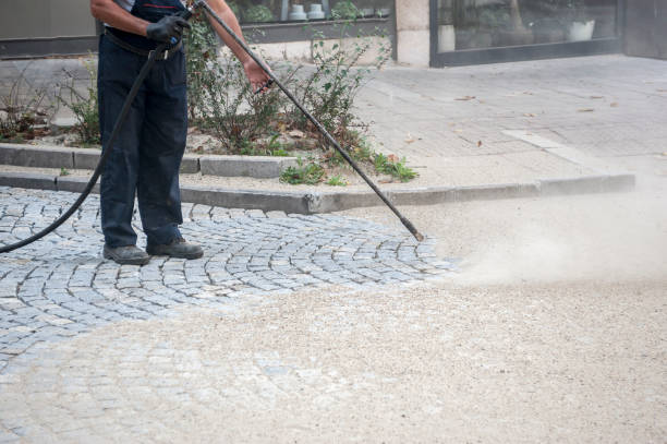 Animal Enclosure Cleaning in Bellbrook, OH
